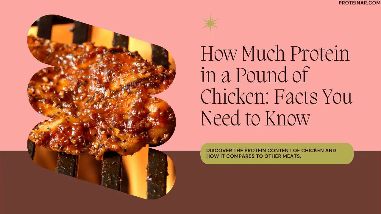 How Much Protein in a Pound of Chicken